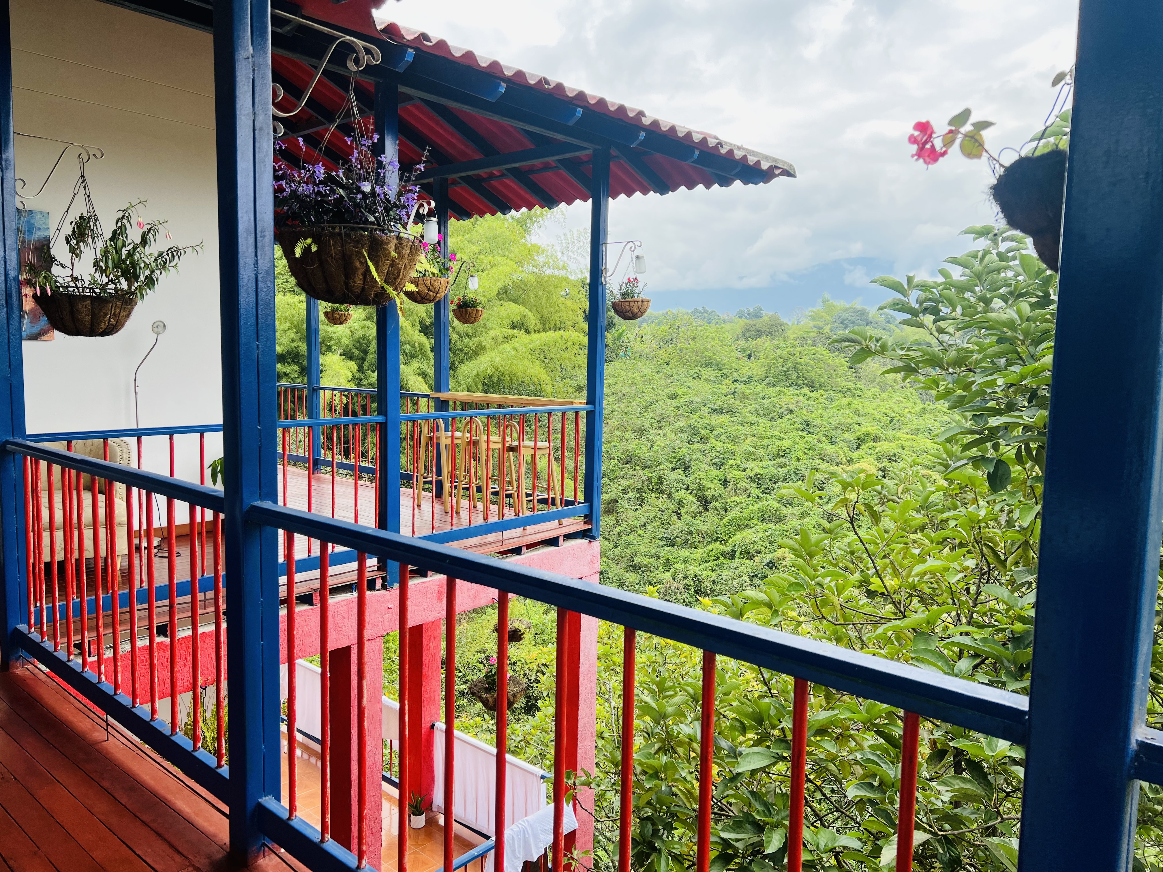 Finca Hotel Calle Jardin - Zonas comunes - 14