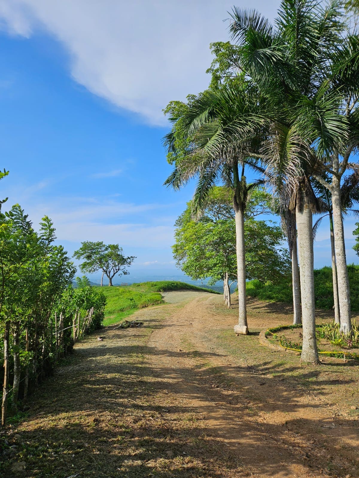 Ecohotel La Reserva 18