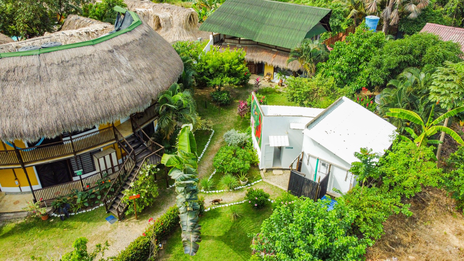 Hostal El Bohio - Zonas comunes - 38