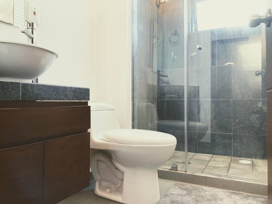 Luxury Oceanfront Direct Rent 9