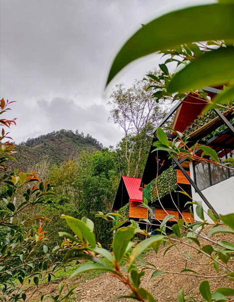 Ecocabañas ByB - Fachada - 42