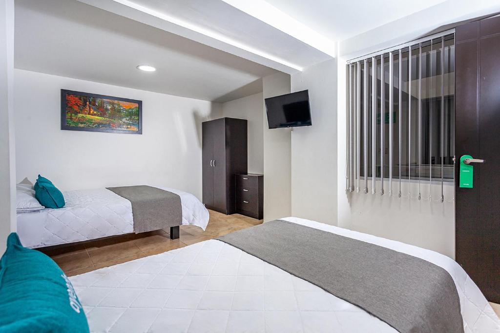 Ayenda Agustin Plaza - Triple Estandar - 9