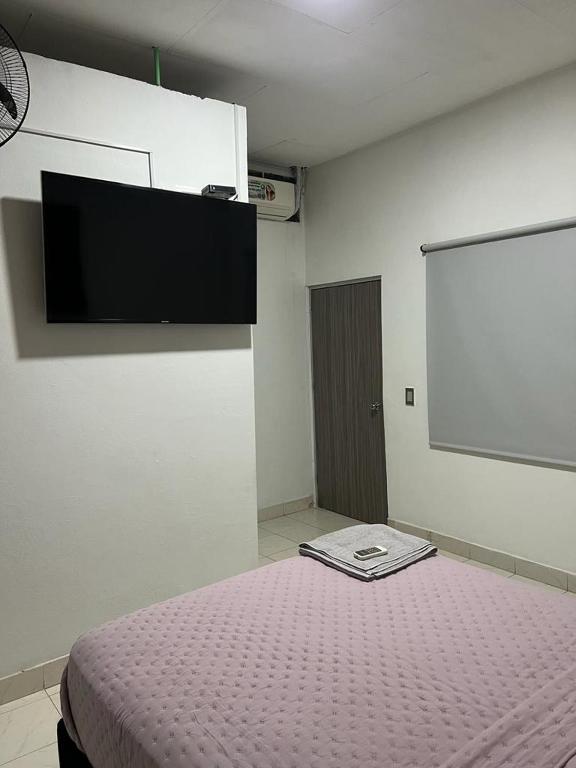 Cool House 24Horas 30