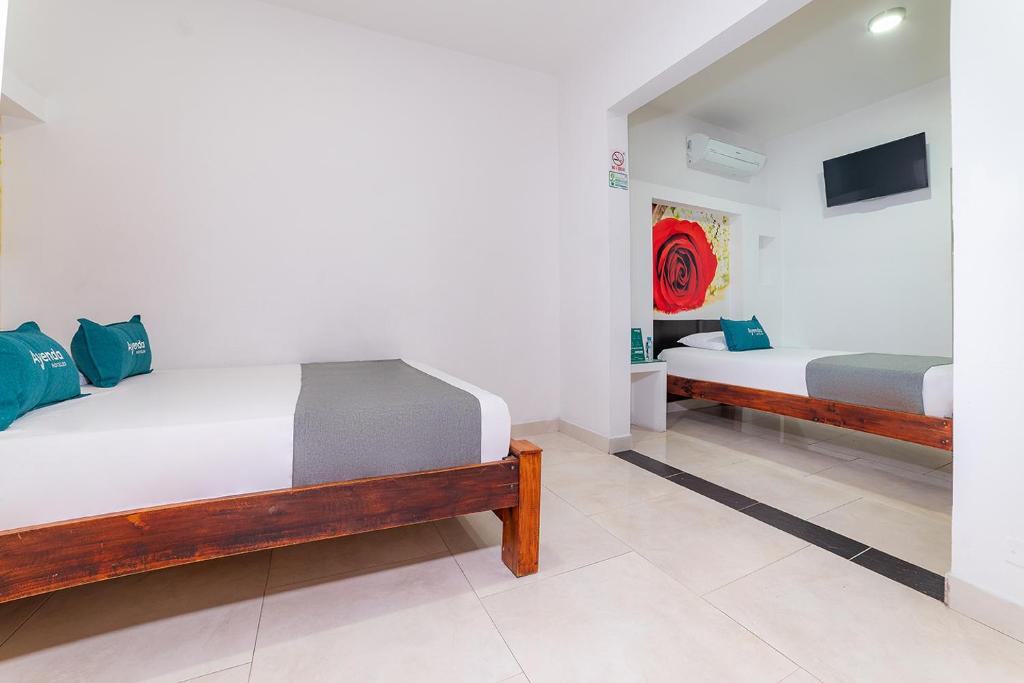 Ayenda Zhena - Triple - 15