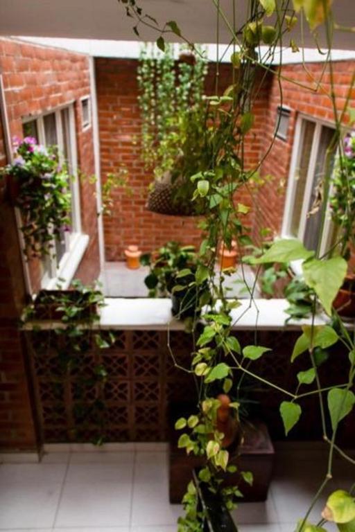 Ayenda 1422 Caney 36