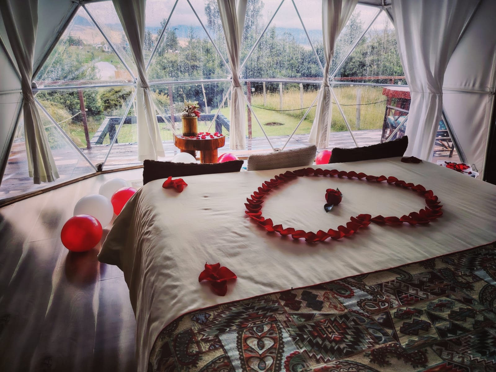 GLAMPING CLARO DE LUNA  - Amenidades - 9