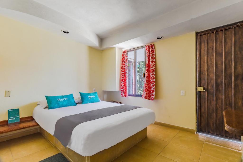 Ayenda Posada El Pedregal 8