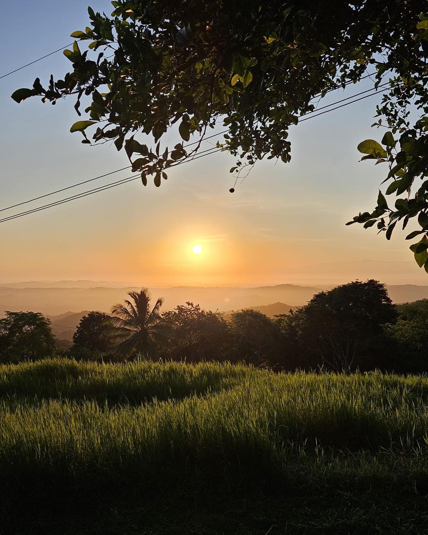 Ecohotel La Reserva 8