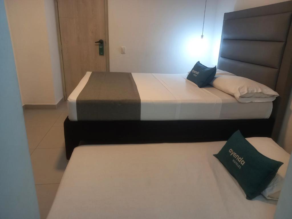 Hotel Colombia Avenida - Twin - 8