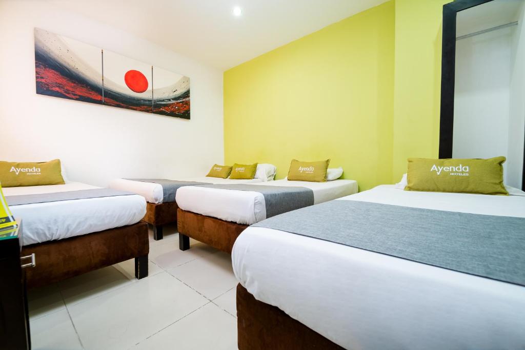 Ayenda 1703 Gran Reserva 15