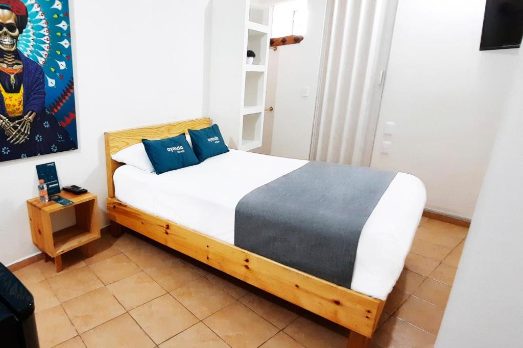 Ayenda Hermila Tlalpan Suites  14