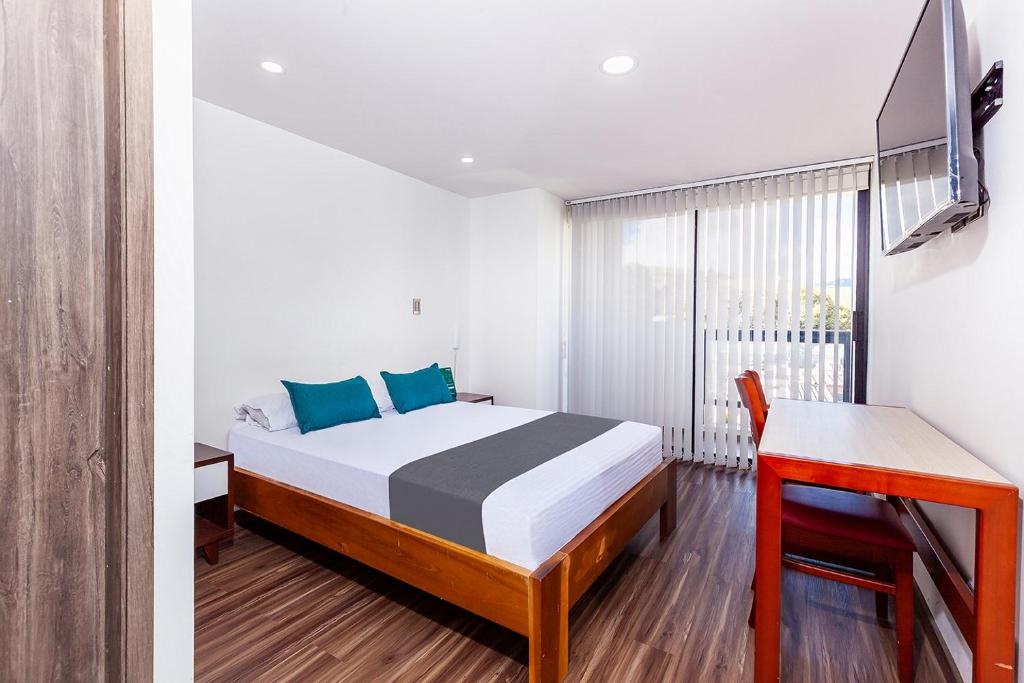 Hotel Basan Plaza - Doble Estandar - 3