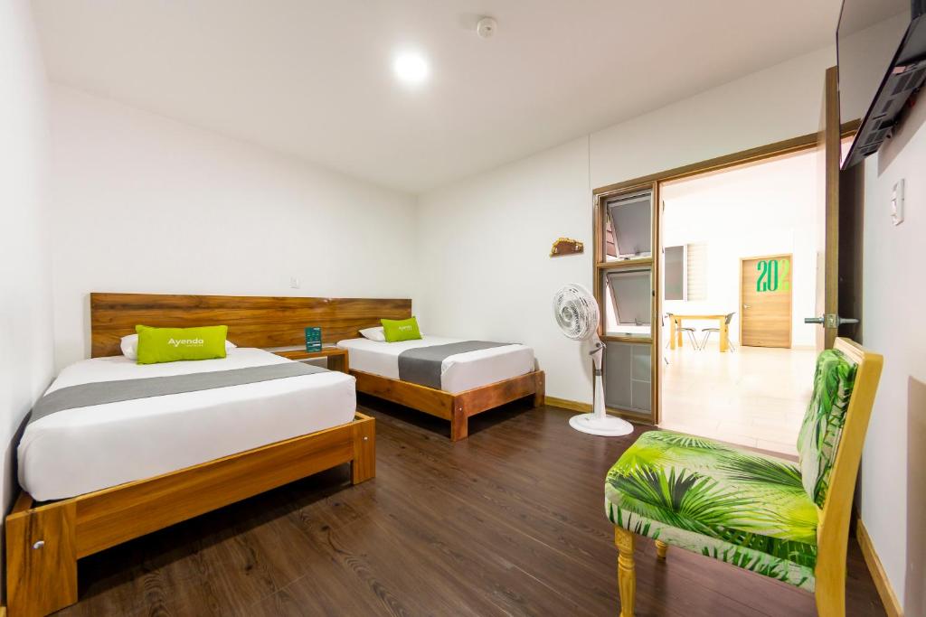 Ayenda 1901 Marckia - Doble - 8