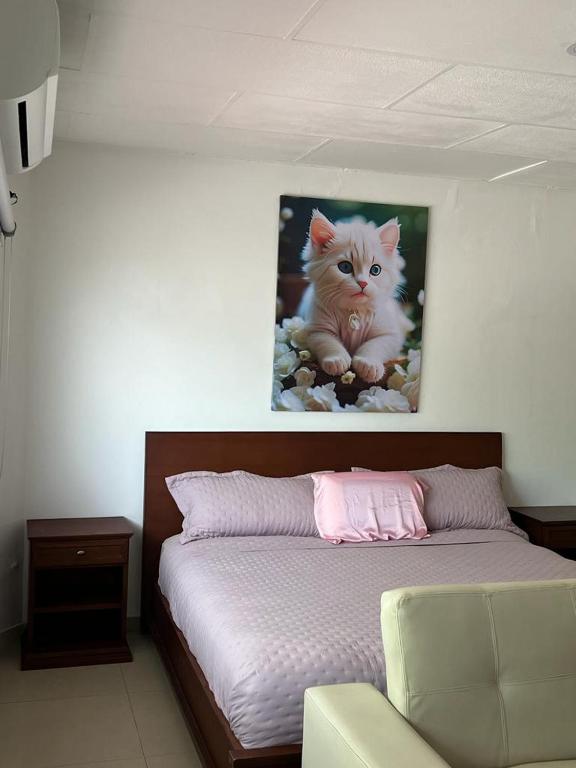 Cool House 24Horas 36