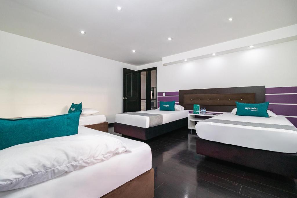 Ayenda Puerto Madero Boutique 36