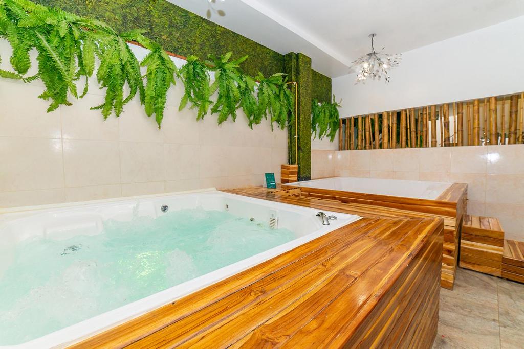 Ayenda Boyaca VIP 29