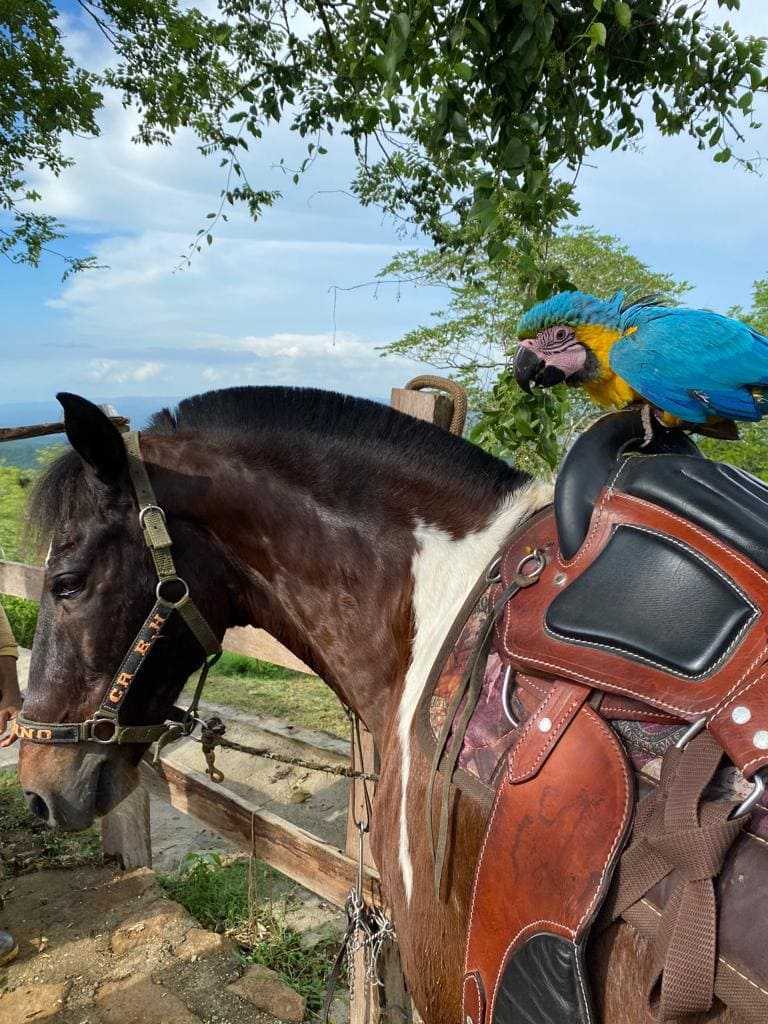 Ecohotel La Reserva 19