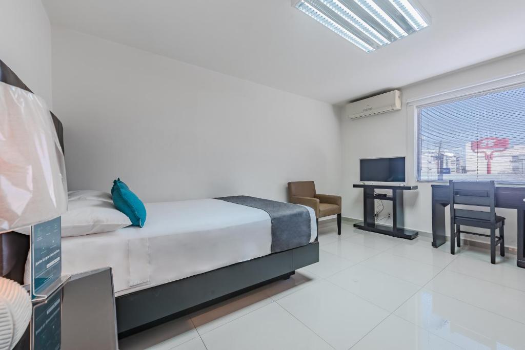 Ayenda Suites Ejecutivas Monterrey 19