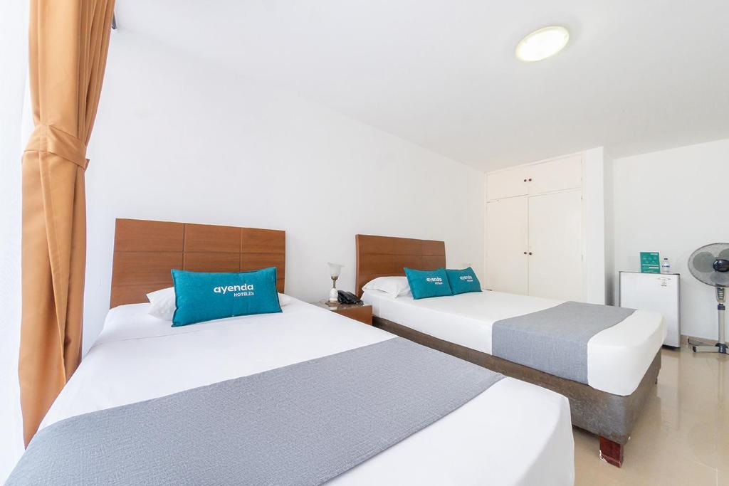 Ayenda 1909 Ambeima 13