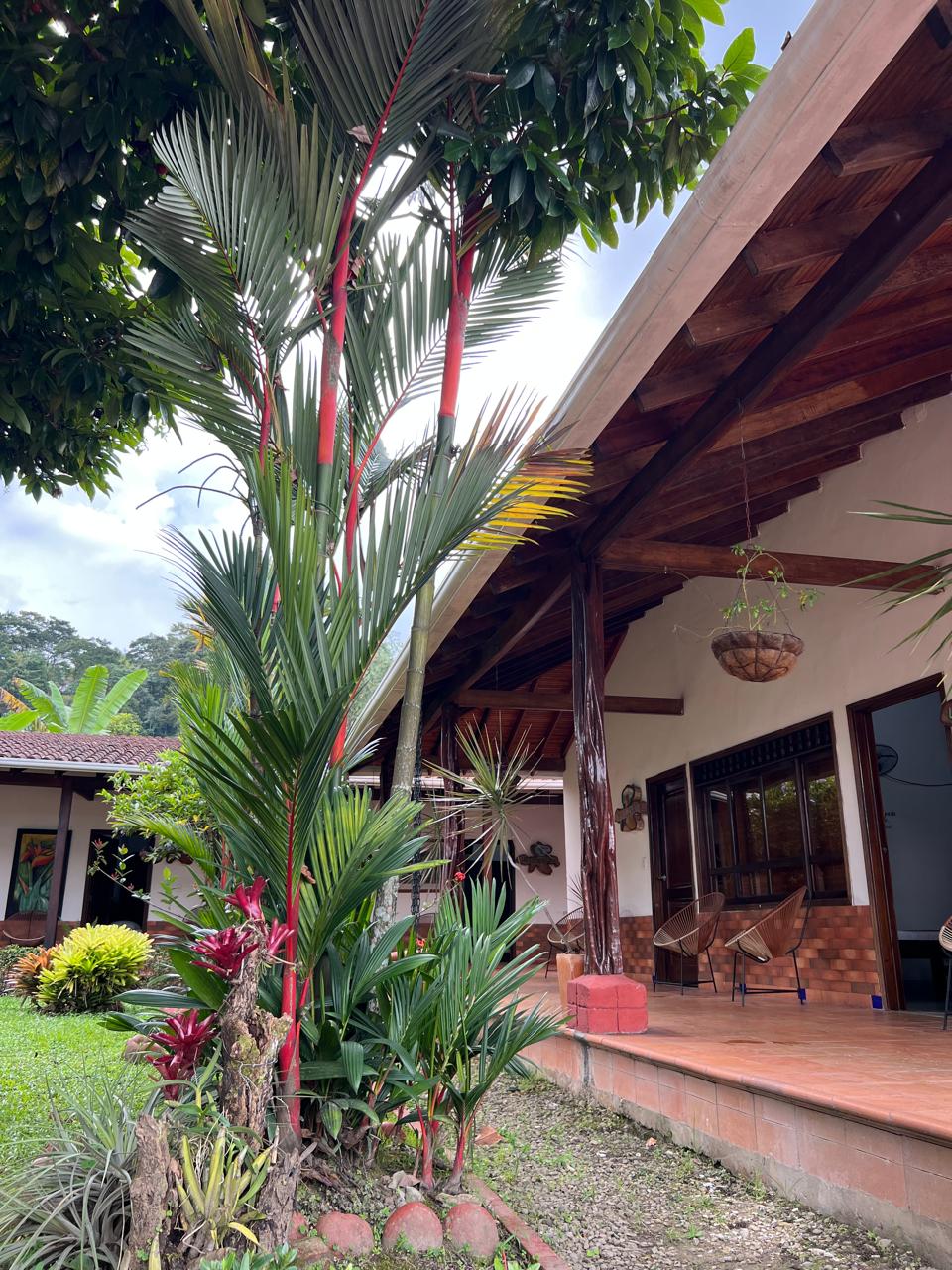 HOTEL BOUTIQUE SAN MATEO CAMPESTRE - Zonas comunes - 47