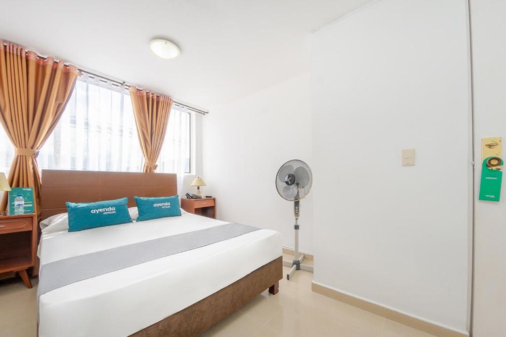 Ayenda 1909 Ambeima 28