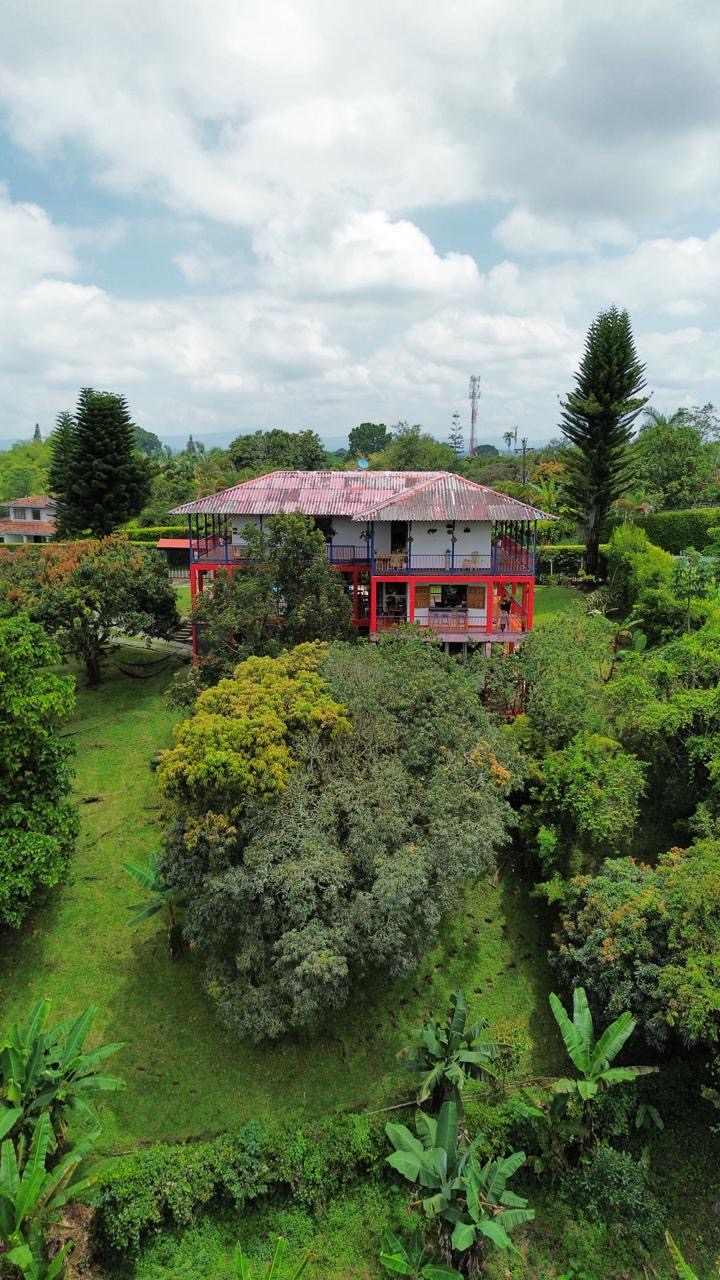 Finca Hotel Calle Jardin - Casa completa - 9