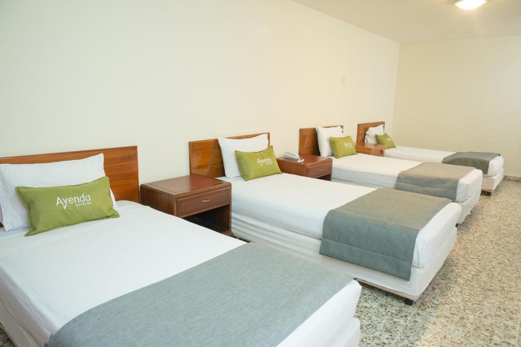 Ayenda 1313 Barahona 72 - Cuádruple - 8