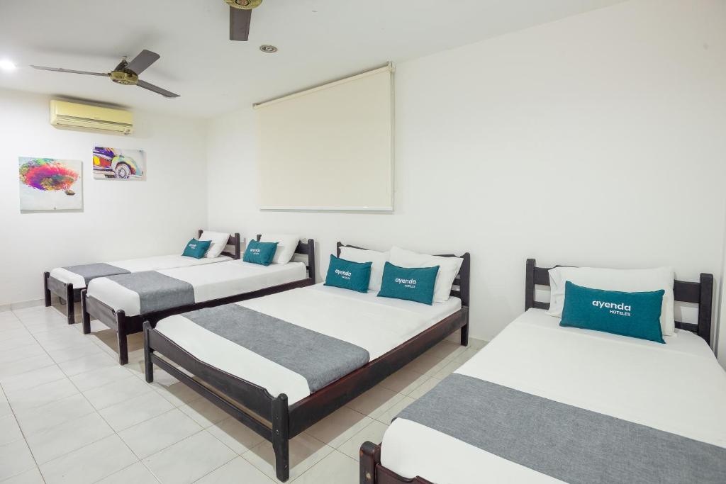 Ayenda Casa Real 15