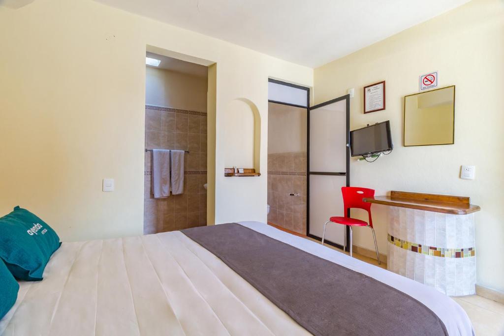 Ayenda Posada El Pedregal 11