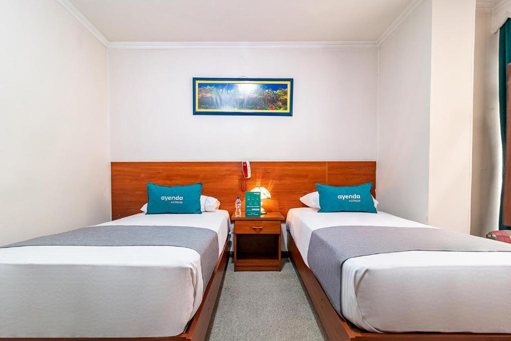 Ayenda Americano - Doble Estandar - 4