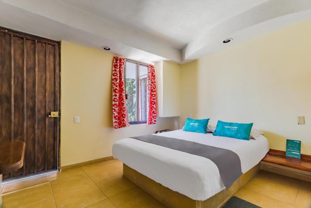 Ayenda Posada El Pedregal 21