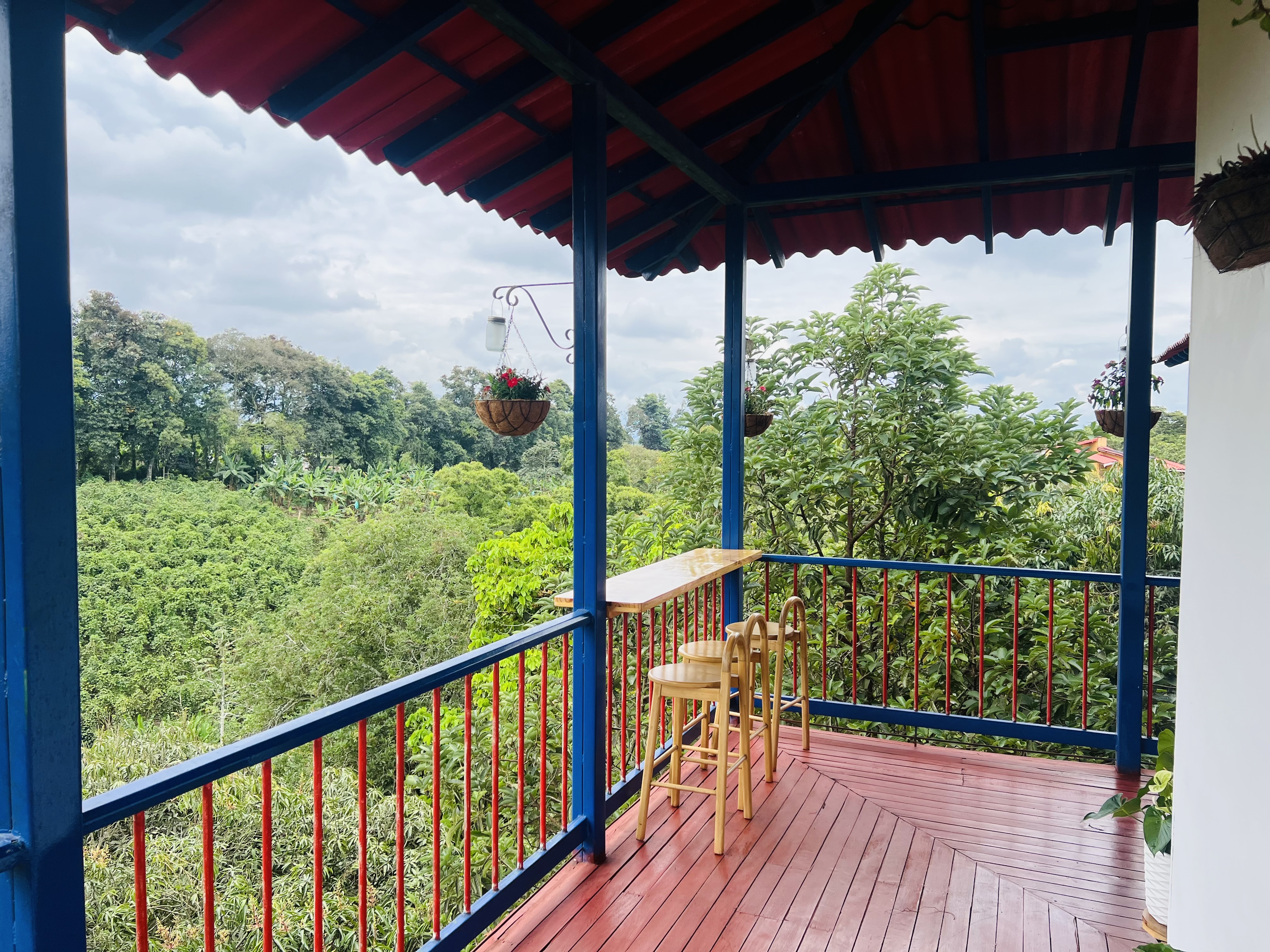 Finca Hotel Calle Jardin - Zonas comunes - 15