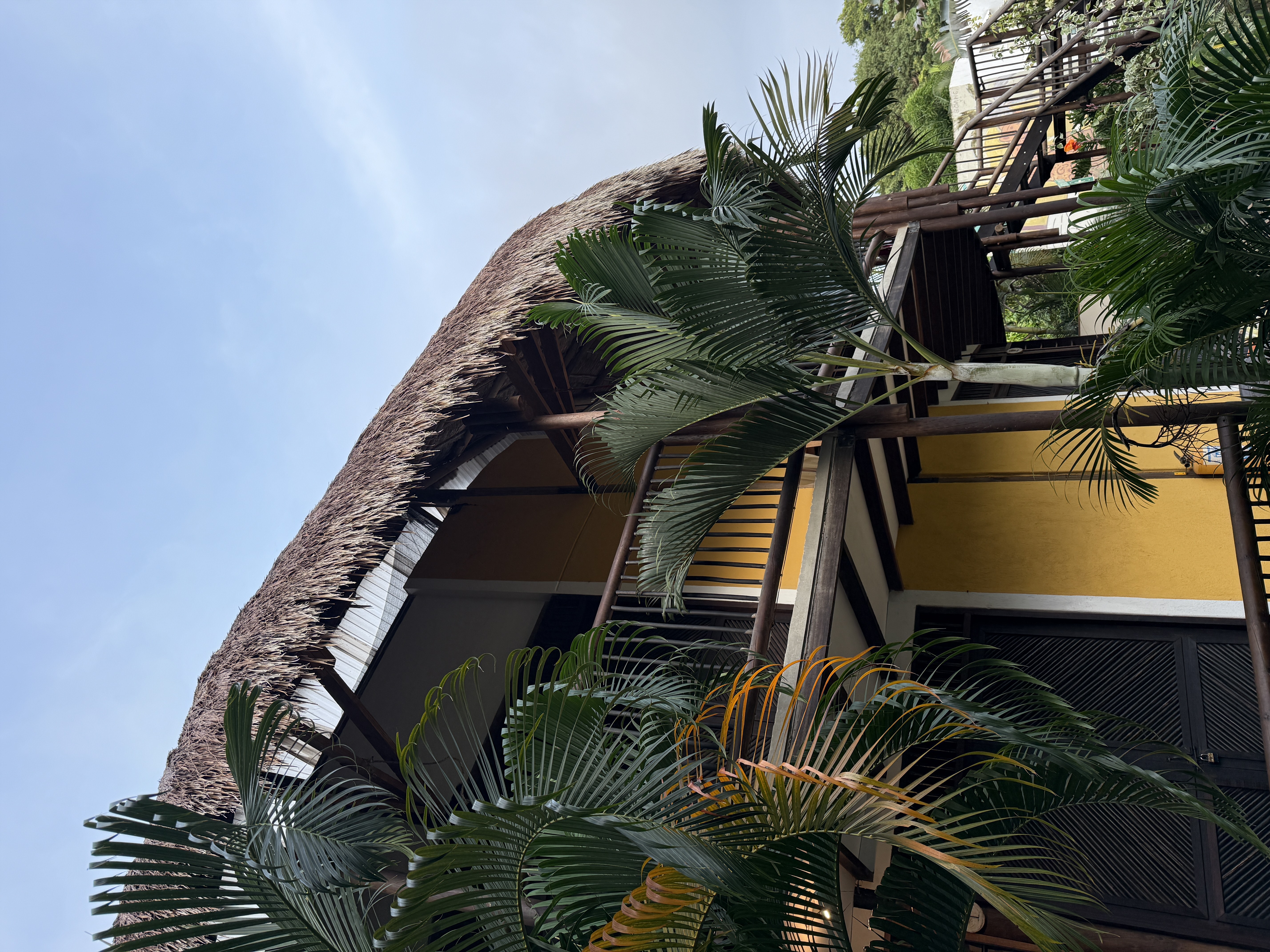 Hostal El Bohio - Zonas comunes - 32