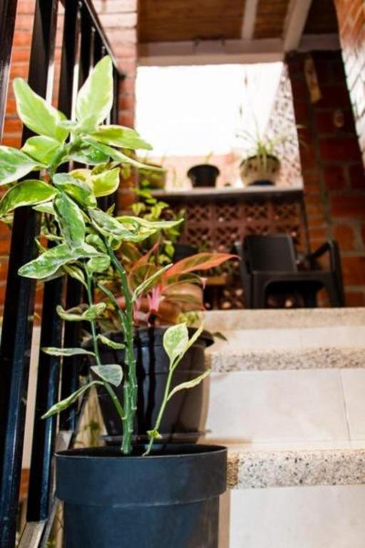 Ayenda 1422 Caney 25