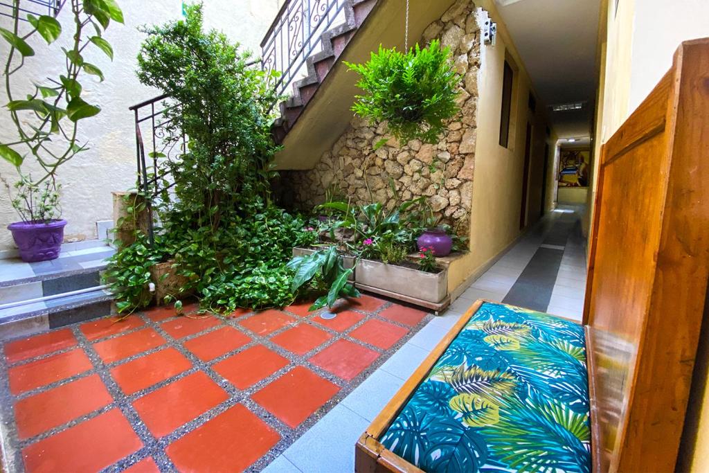 Ayenda Republicano Colonial No 2 27