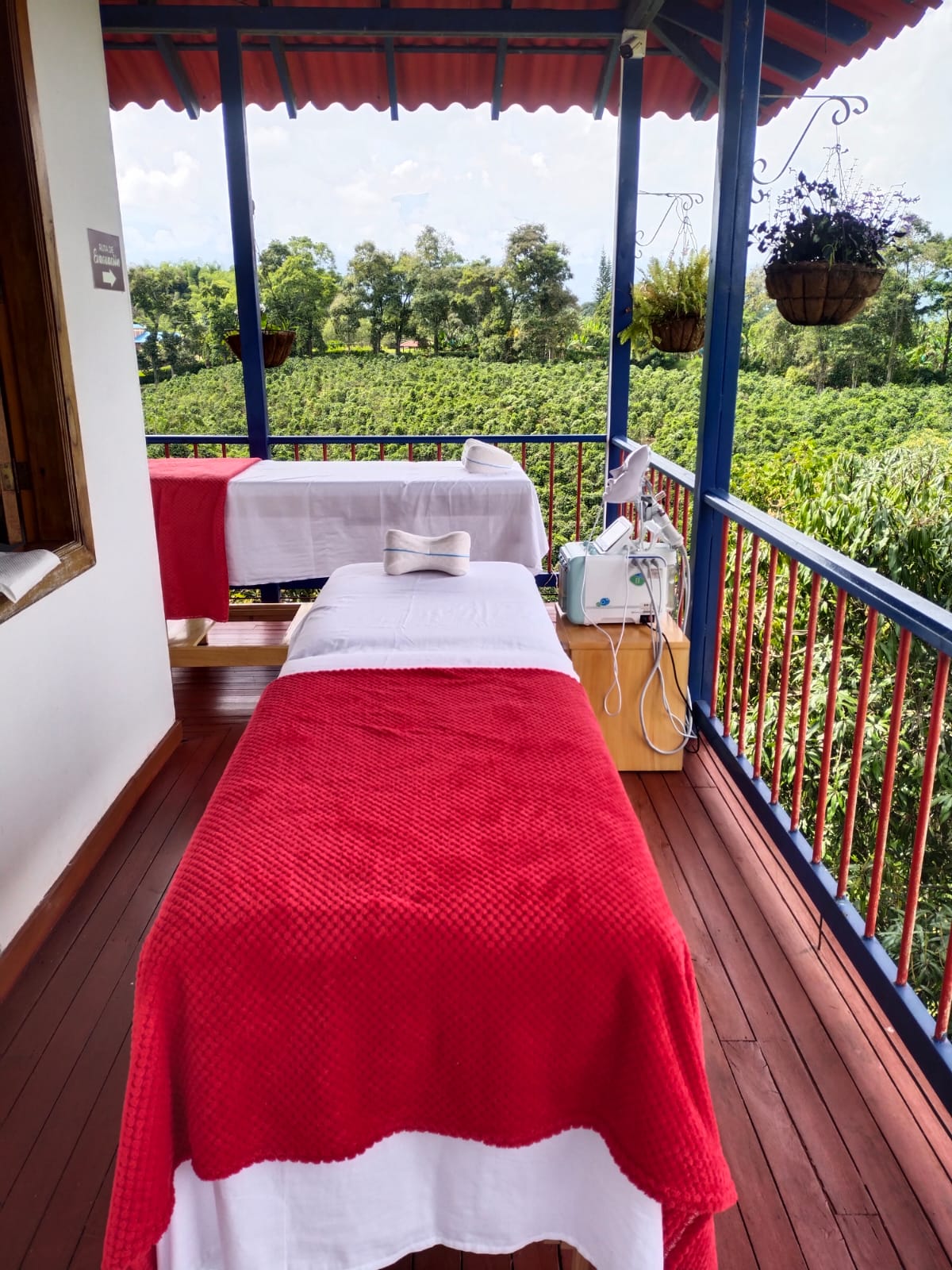 Finca Hotel Calle Jardin - Zonas comunes - 26