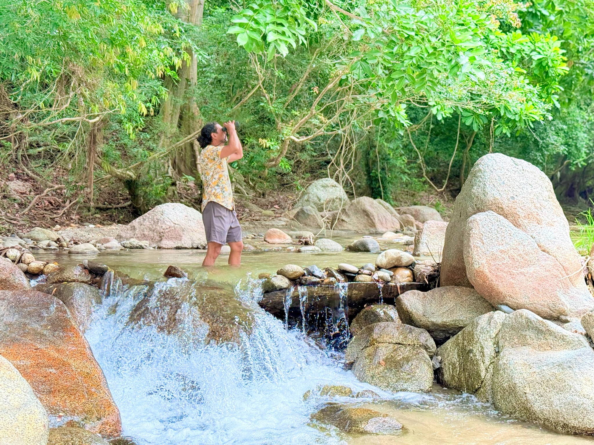 Rio Tayrona - Zonas comunes - 6