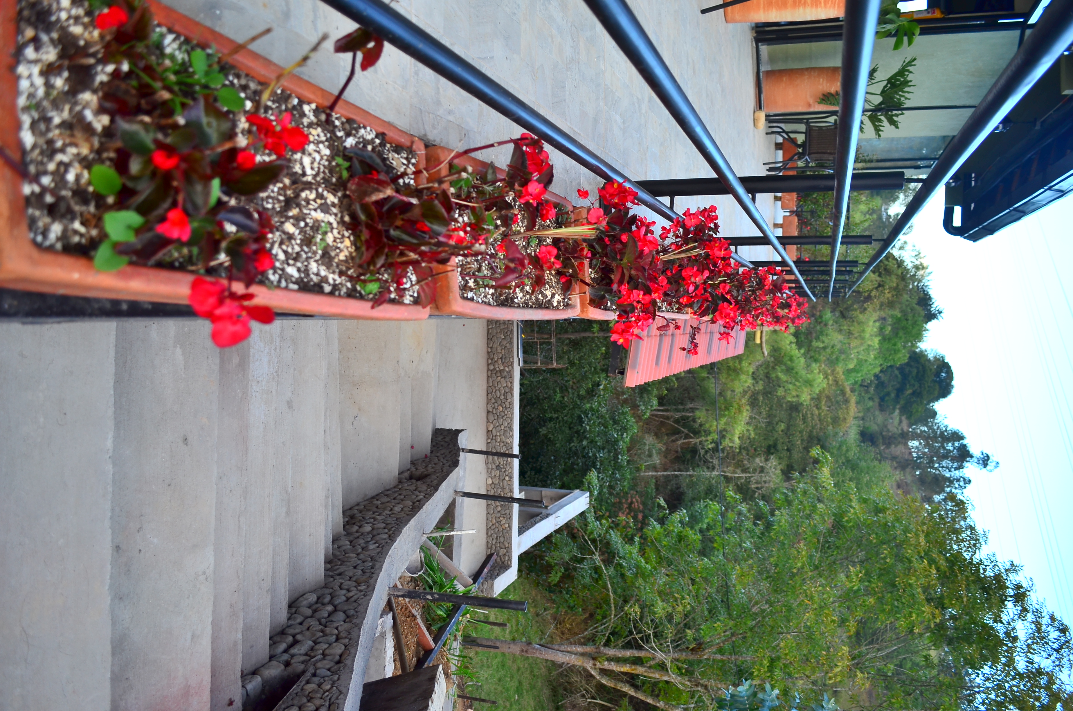 MONTEVERDE BEST INN  - Fachada - 51
