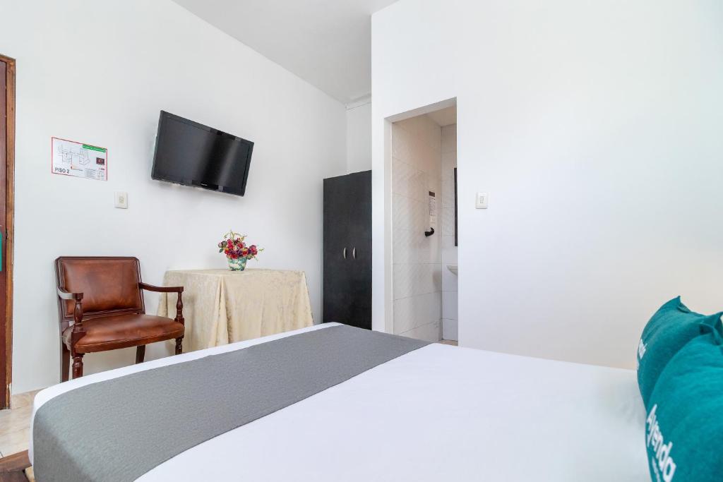 Ayenda Eloina - Doble Estandar - 11