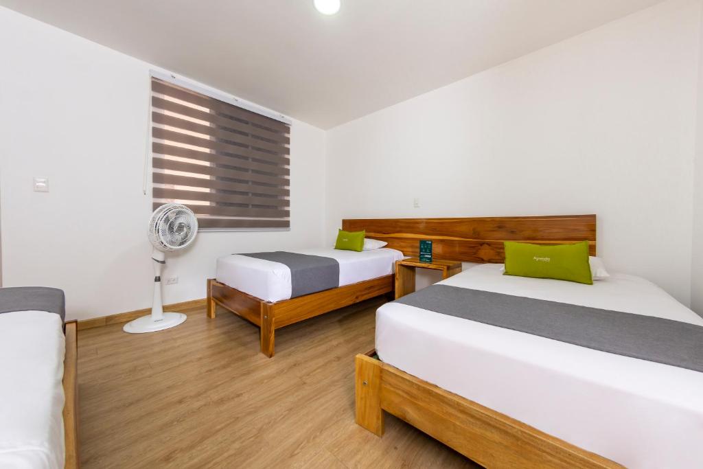 Ayenda 1901 Marckia - Triple - 20