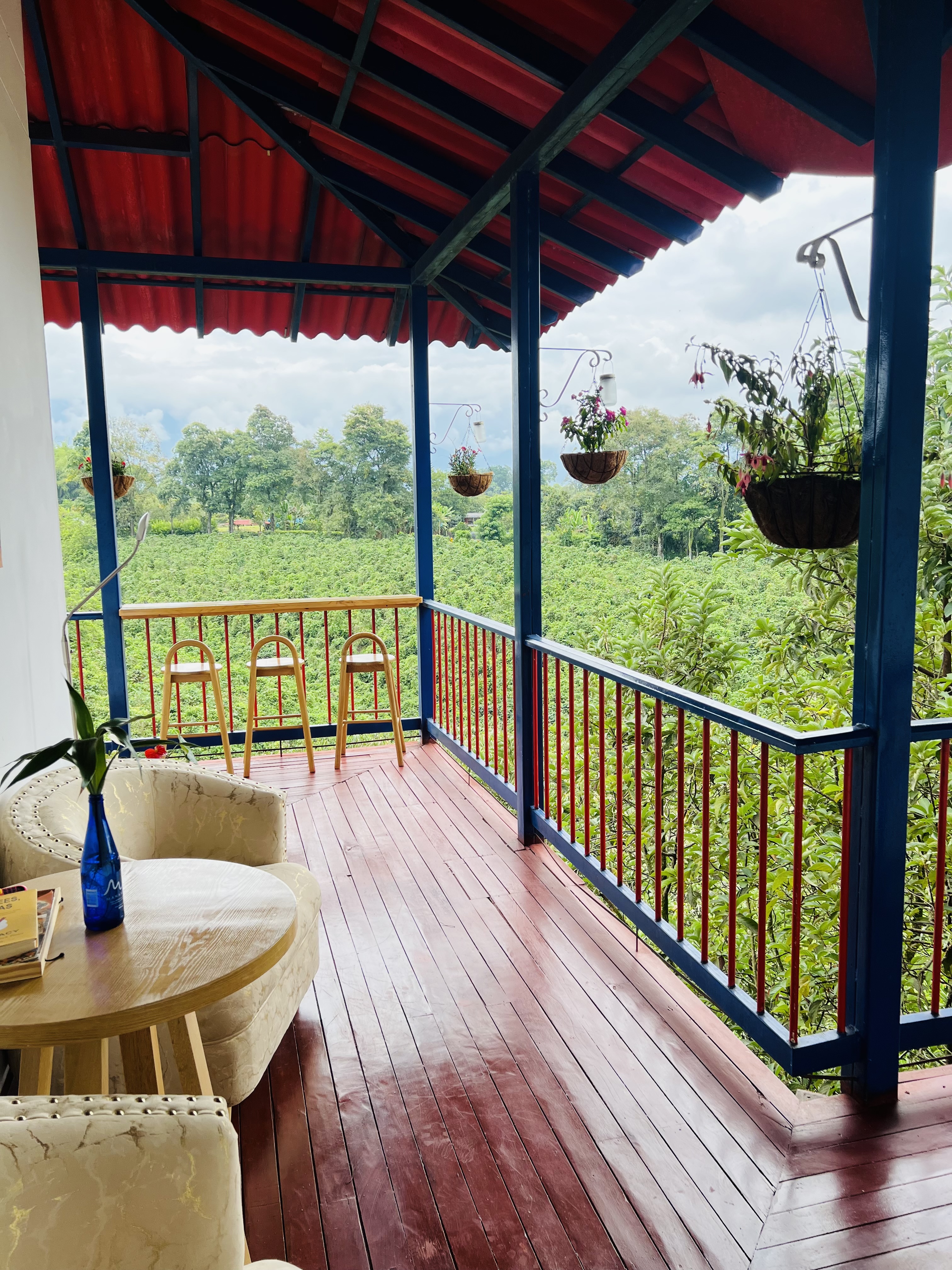 Finca Hotel Calle Jardin - Zonas comunes - 16