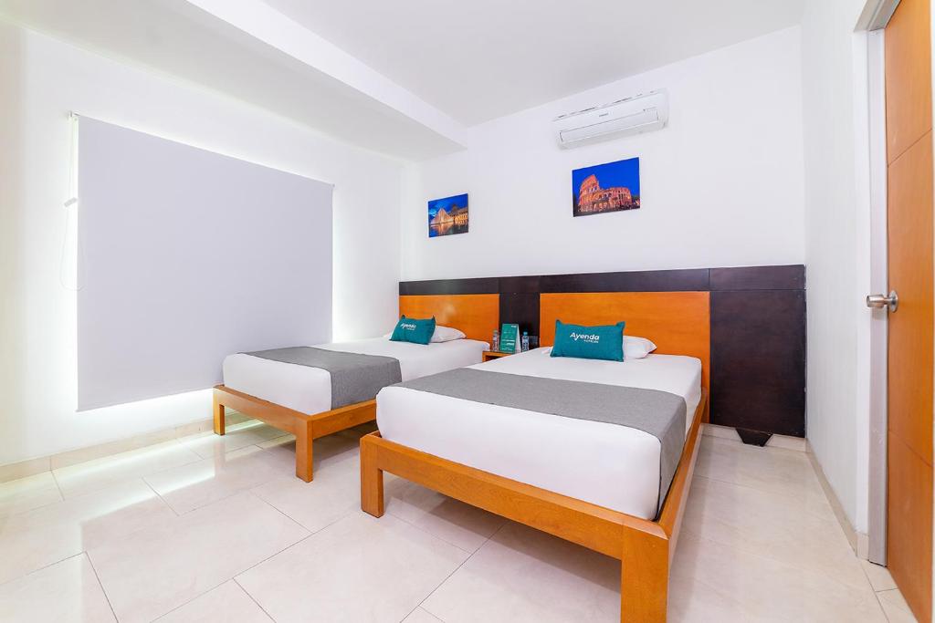 Ayenda Zhena - Doble - 7