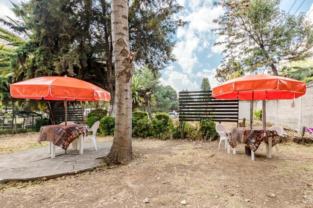 Ayenda Mesón del Río 38