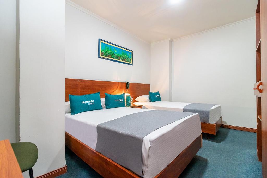 Ayenda Americano - Triple Estandar - 13