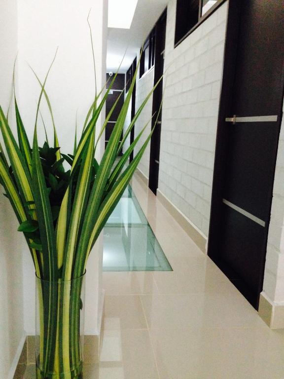 Ayenda 1254 Mi Colombia 10