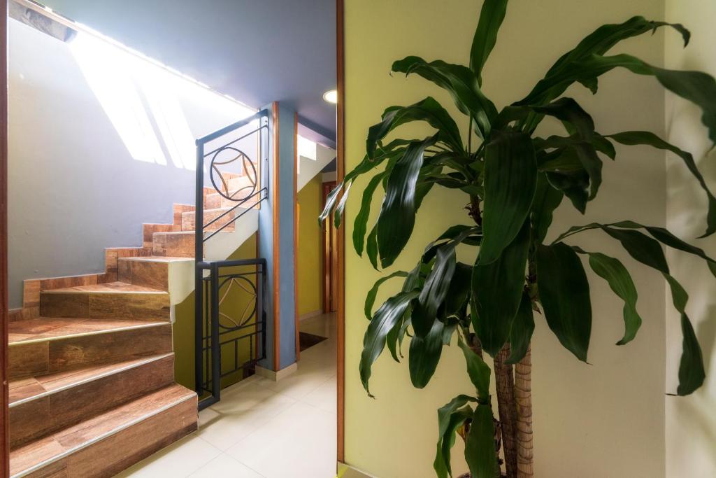 Ayenda 1405 Ibiza 21