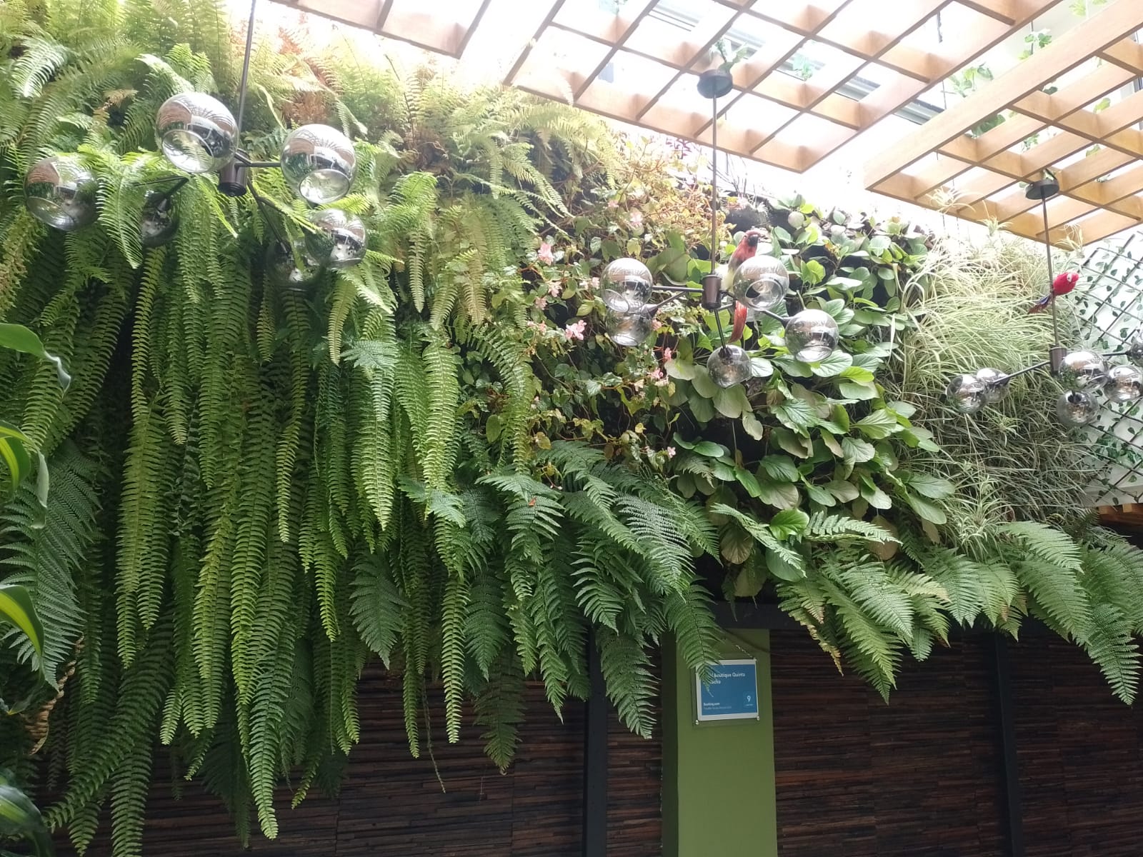 HOTEL BOUTIQUE QUINTA CAMACHO - Zonas comunes - 20