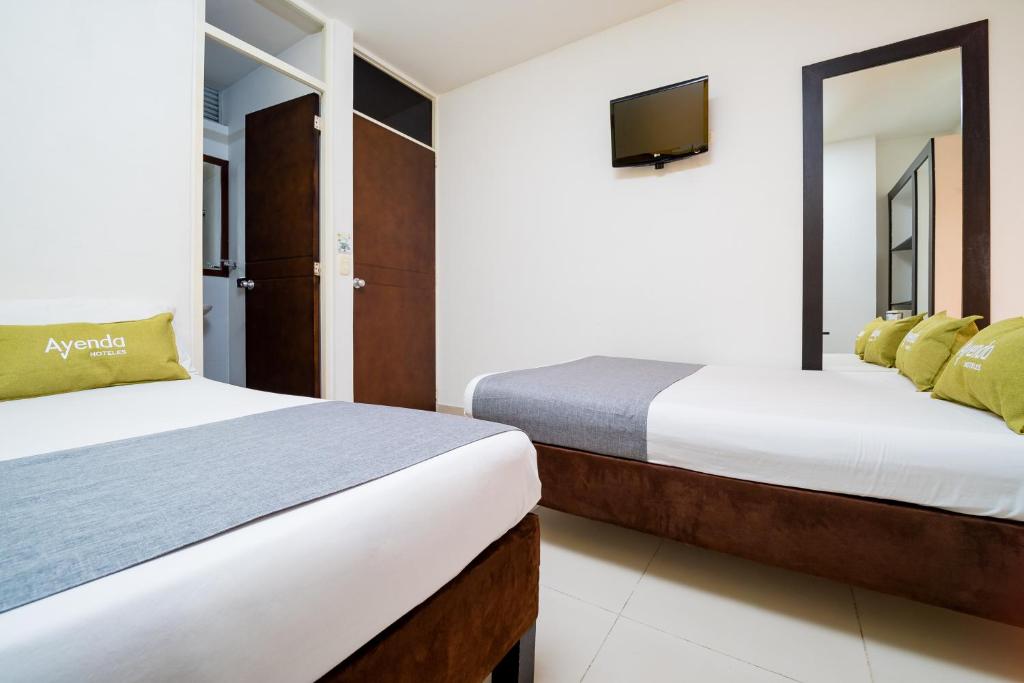 Ayenda 1703 Gran Reserva - Cuádruple - 3