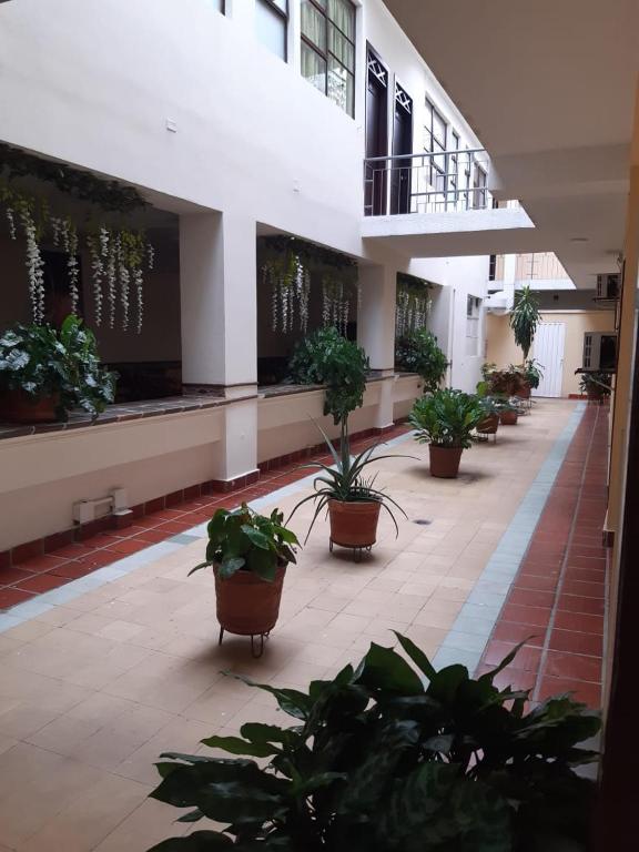 HOTEL EL ANDINO - Zonas comunes - 16