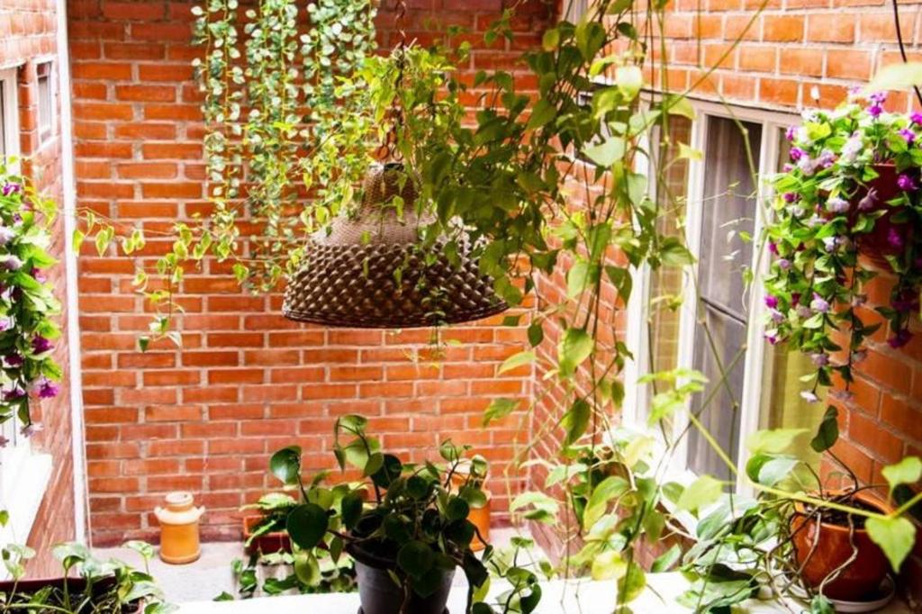 Ayenda 1422 Caney 28